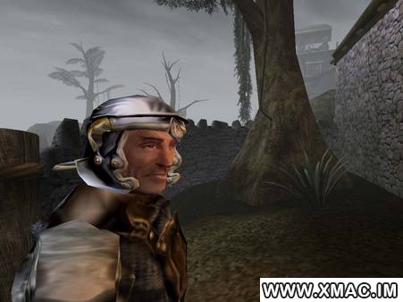 图片[3]-上古卷轴3晨风/上古卷轴3：晨风/The.Elder.Scrolls.III.Morrowind.GOTY.Edition v1.6.0.1820 附完美汉化补丁+热门模组（汉化）-无忧免费游戏网